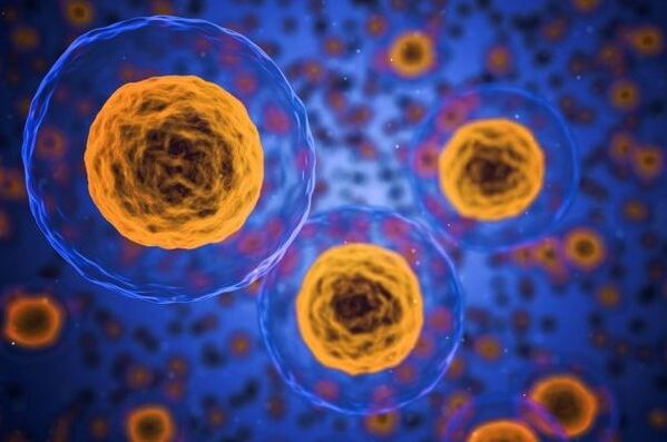 Come avviene il processo di perdita di peso